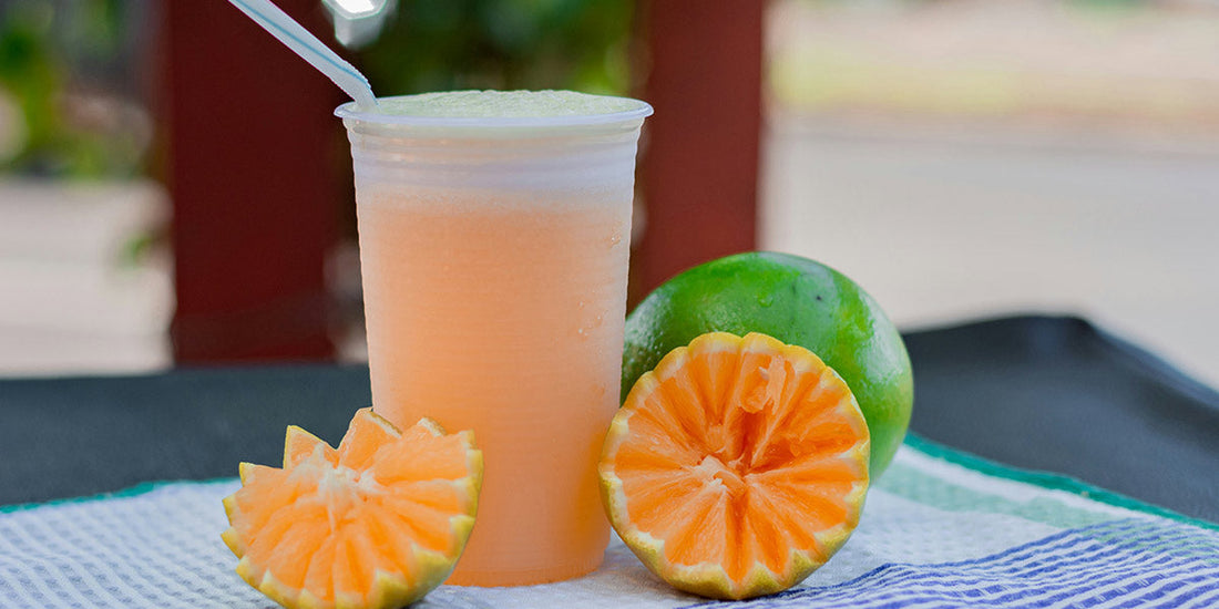 Fresh Juice Recipes & Complete Juicer Usage Guide