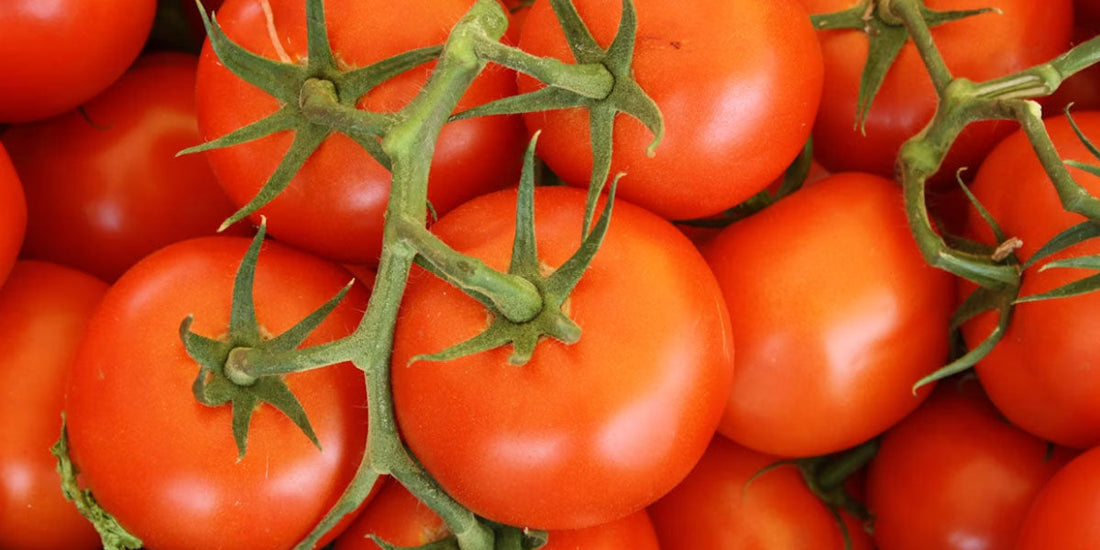 Tomato-Based Juice Combinations