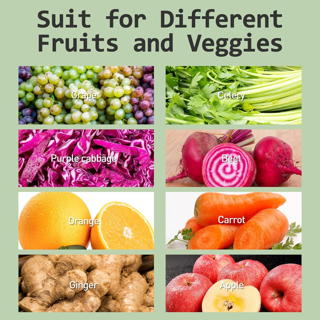 WhallPro® Masticating Slow Juicer –Stainless Steel, Touchscreen with 2 Speed Modes